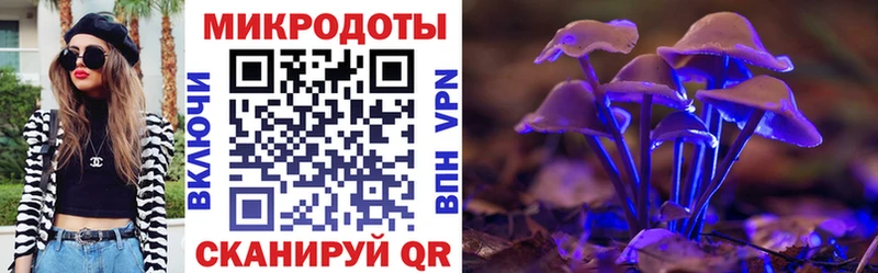 blacksprut как войти  Малмыж  Галлюциногенные грибы Cubensis  сколько стоит 